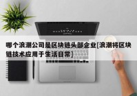 哪个浪潮公司是区块链头部企业[浪潮将区块链技术应用于生活日常]